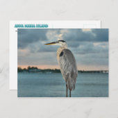 ブルー素晴らしヘロンとコルテスのバックラウンド ポストカード (正面/裏面)