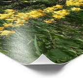 ブルー素晴らしヘロンとダッフォダル フォトプリント            (角)