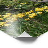 ブルー素晴らしヘロンとダッフォダル フォトプリント            (角)