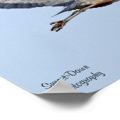 ブルー素晴らしヘロンのポスター ポスター (角)