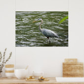 ブルー素晴らしヘロンのポスター ポスター (キッチン)