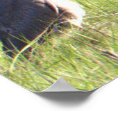 ブルー素晴らしヘロンのポスター ポスター (角)