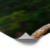 ブルー素晴らしヘロンウォールアート ポスター (角)