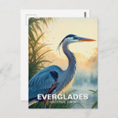 ブルー素晴らしヘロンエバーグレーズナショナルパークモーニング ポストカード (正面/裏面)
