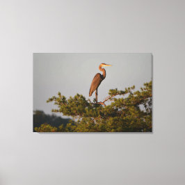 ブルー素晴らしヘロンツリートップ キャンバスプリント