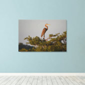 ブルー素晴らしヘロンツリートップ キャンバスプリント (インサイチュ (ウッドフロア))