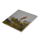 ブルー素晴らしヘロンツリートップ タイル (側面)