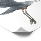 ブルー素晴らしヘロンテイクオフファインアートプリント ポスター (角)