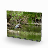 ブルー素晴らしヘロンテネシー川野生生物自然 フォトブロック (右)