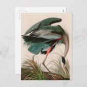 ブルー素晴らしヘロンバードオブアメリカオードボンプリント シーズンポストカード (正面/裏面)