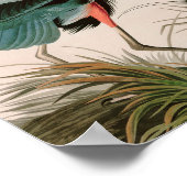 ブルー素晴らしヘロンバードオブアメリカオードボンプリント ポスター (角)