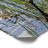 ブルー素晴らしヘロンバードマーシュクローズアップ ポスター (角)