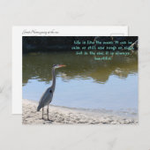 ブルー素晴らしヘロンヒルトンヘッドScウィズ海 ポストカード (正面/裏面)