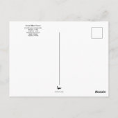 ブルー素晴らしヘロンヒルトンヘッドSCポストカード ポストカード (裏面)