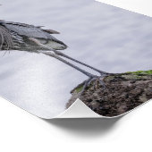 ブルー素晴らしヘロンフォトプリント フォトプリント            (角)