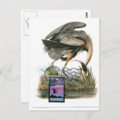 ブルー素晴らしヘロン最大カードオードボン ポストカード (正面/裏面)