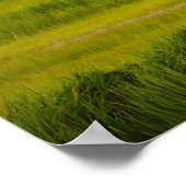 ブルー素晴らしヘロン飛んでいるポスター ポスター (角)