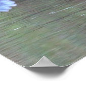 ブルー素晴らしヘロン飛んでいる ポスター (角)