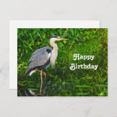 ブルー素晴らしヘロン鳥野獣フォト誕生日 ポストカード (正面/裏面)