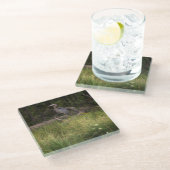 ブルー素晴らしヘロン8917 ガラスコースター (アングル)