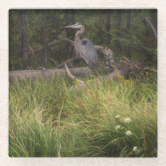 ブルー素晴らしヘロン8917 ガラスコースター (正面)