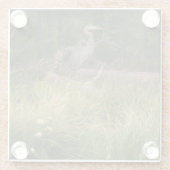 ブルー素晴らしヘロン8917 ガラスコースター (裏面)