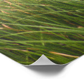 ブルー素晴らしヘロン8917 ポスター (角)