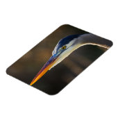 ブルー素晴らしヘロン、クローズアップポートレート マグネット (左側)