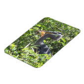 ブルー素晴らしヘロン、食事時間マグネット マグネット (左側)