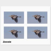 ブルー素晴らし・ヘロンが飛行中 長方形シール (シート)