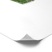 ブルー素晴らし・ヘロンの領土 ポスター (角)