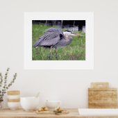 ブルー素晴らし・ヘロンの領土 ポスター (キッチン)