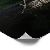 ブルー素晴らし・ヘロンの飛行用ポスター ポスター (角)