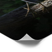 ブルー素晴らし・ヘロン飛行中 ポスター (角)