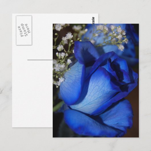 ブルー美しい ポストカード (正面/裏面)