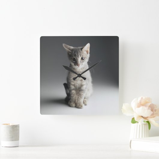 ブルー虎猫キッテン スクエア壁時計 (ホーム)