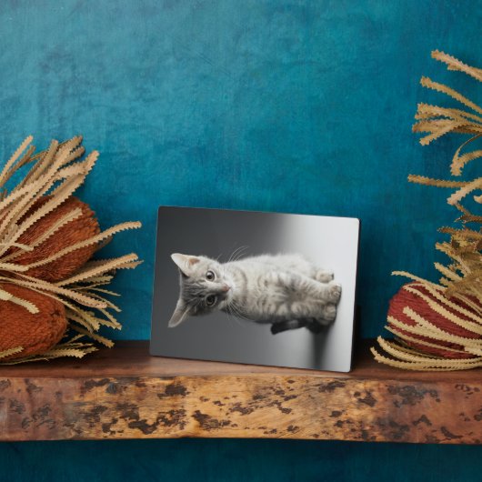 ブルー虎猫キッテン フォトプラーク (側面)