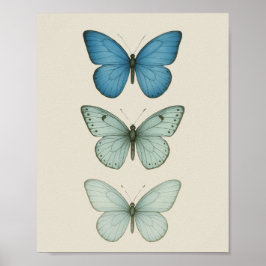 ブルー蝶オンパーチメント – ヴィンテージ自然アート ポスター