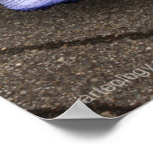 ブルー誕生 ポスター (角)