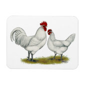 ブルー足チキンズ マグネット (横)