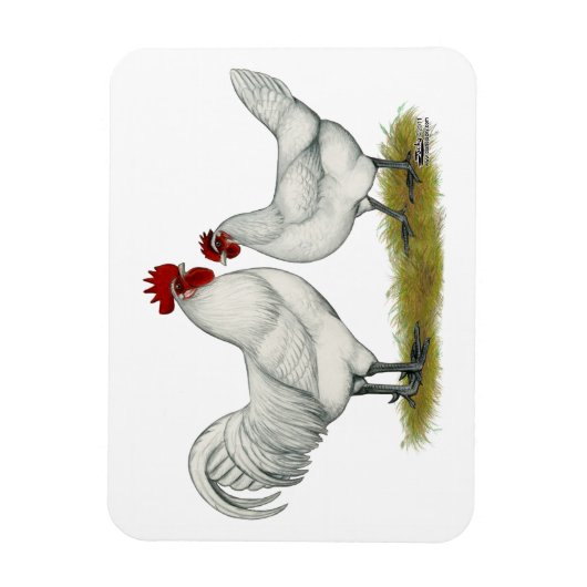 ブルー足チキンズ マグネット (縦)