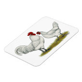 ブルー足チキンズ マグネット (左側)