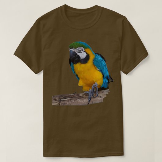 ブルー金ゴールドオウム Tシャツ (デザイン正面)