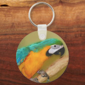 ブルー金ゴールドマコーパロッ絵画トキーチェーン キーホルダー (正面)