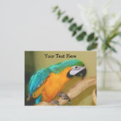 ブルー金ゴールドMacaw Parrotカスタマイズ可能はがき ポストカード (スタンド正面)