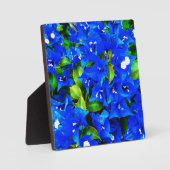 ブルー鮮やかブーガンビレアフラワーズ フォトプラーク (正面)