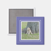 ブルー カスタム キュート フォト テンプレート おしゃれ マグネット (正面/裏面)