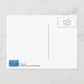 ブルー グレイシャー ポストカード (裏面)