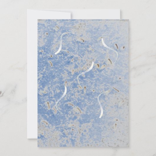 ブルー&グレーマーブルモノグラーム結婚式招待状 招待状 (裏面)