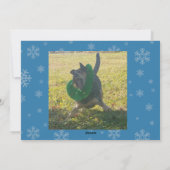 ブルー・ヒーラー・ホリデー２枚の写真 シーズンカード (裏面)